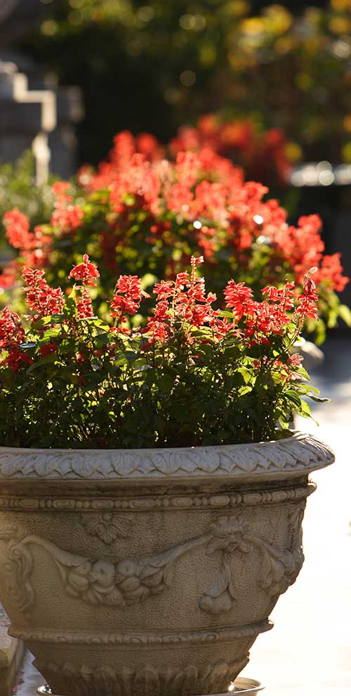 Garden pots