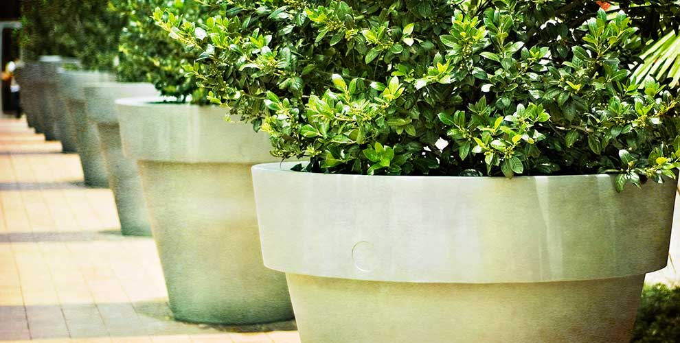 Plant pots