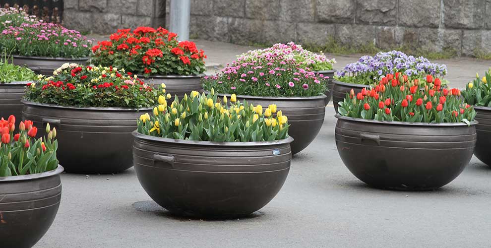 Planters