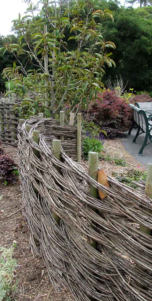 Willow fencing